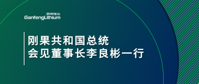 剛果共和國總統(tǒng)會(huì)見贛鋒鋰業(yè)董事長李良彬一行